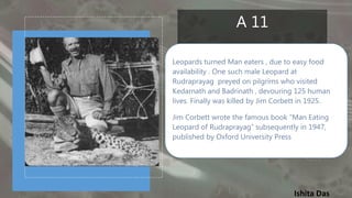 Ishita Das
A 11
Leopards turned Man eaters , due to easy food
availability . One such male Leopard at
Rudraprayag preyed on pilgrims who visited
Kedarnath and Badrinath , devouring 125 human
lives. Finally was killed by Jim Corbett in 1925.
Jim Corbett wrote the famous book “Man Eating
Leopard of Rudraprayag” subsequently in 1947,
published by Oxford University Press
 