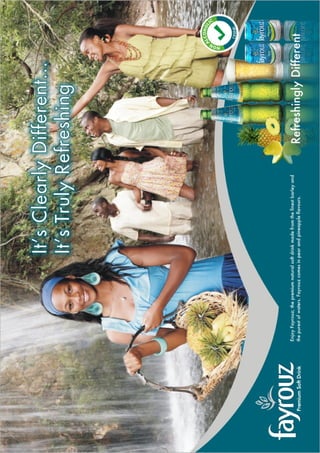 Nigerian Breweries annual report 2009