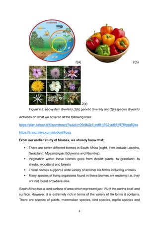 4
2(a) 2(b)
2(c)
Figure 2(a) ecosystem diversity, 2(b) genetic diversity and 2(c) species diversity
Activities on what we covered at the following links:
https://play.kahoot.it/#/scoreboard?quizId=06c5b2b8-eef8-4892-ad66-f576feda60aa
https://b.socrative.com/student/#quiz
From our earlier study of biomes, we already know that:
 There are seven different biomes in South Africa (eight, if we include Lesotho,
Swaziland, Mozambique, Botswana and Namibia).
 Vegetation within these biomes goes from desert plants, to grassland, to
shrubs, woodland and forests
 These biomes support a wide variety of another life forms including animals
 Many species of living organisms found in these biomes are endemic i.e. they
are not found anywhere else.
South Africa has a land surface of area which represent just 1% of the earths total land
surface. However, it is extremely rich in terms of the variety of life forms it contains.
There are species of plants, mammalian species, bird species, reptile species and
 