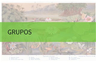 ..
GRUPOS