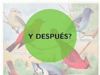 ..
Y DESPUÉS?