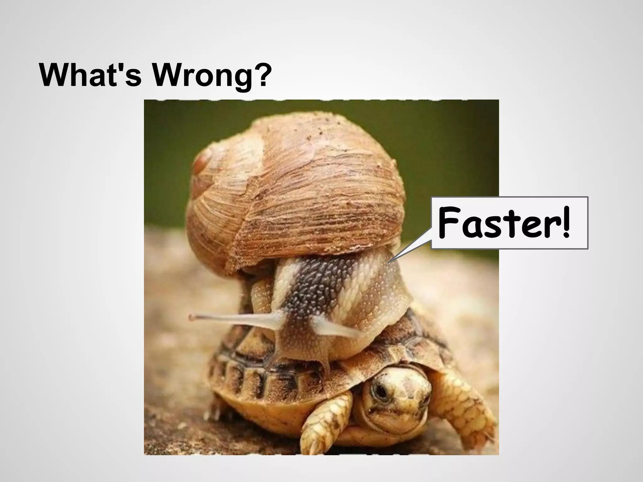 What's Wrong?

Faster!

 