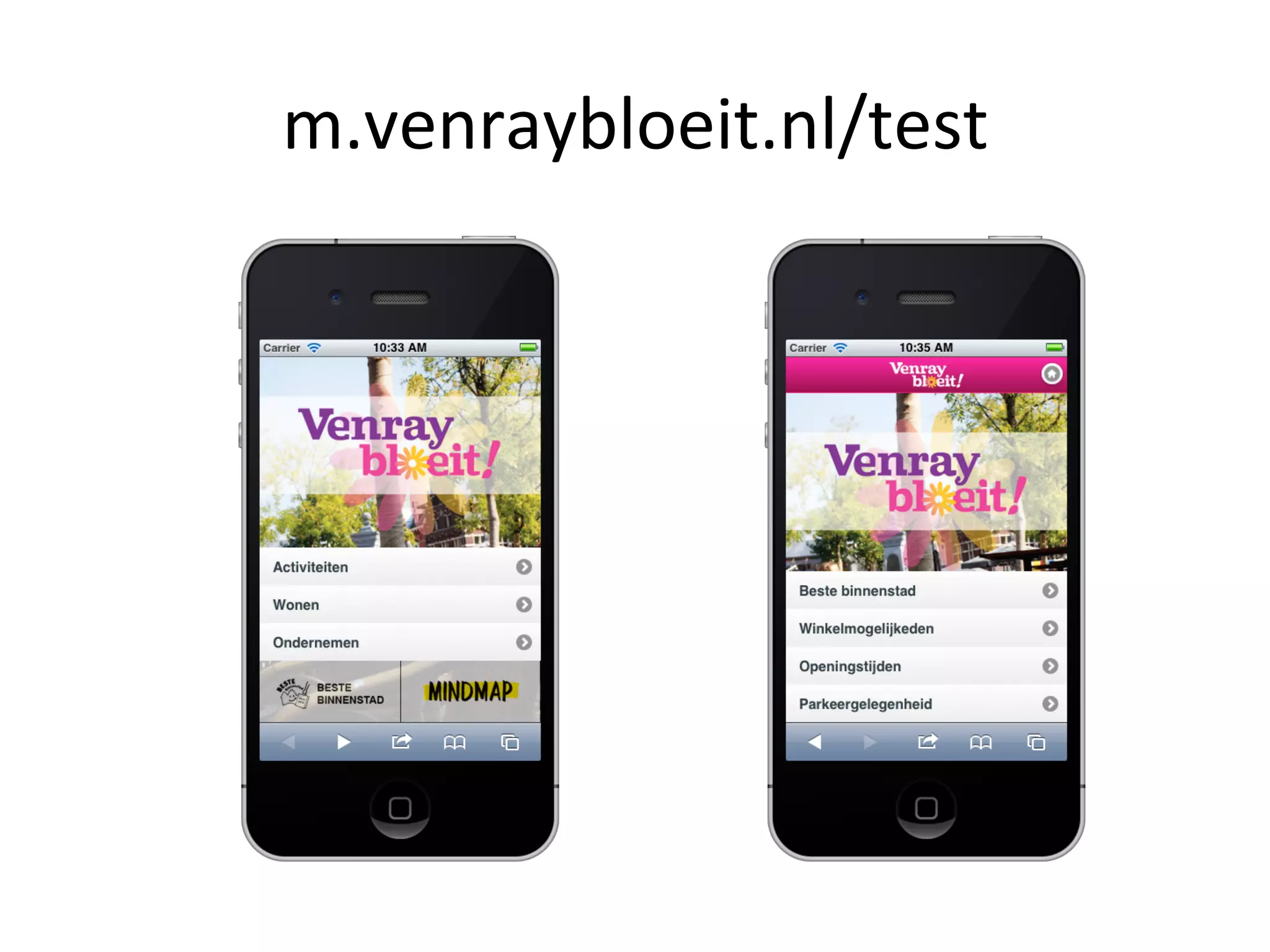 m.venraybloeit.nl/test	
  
 