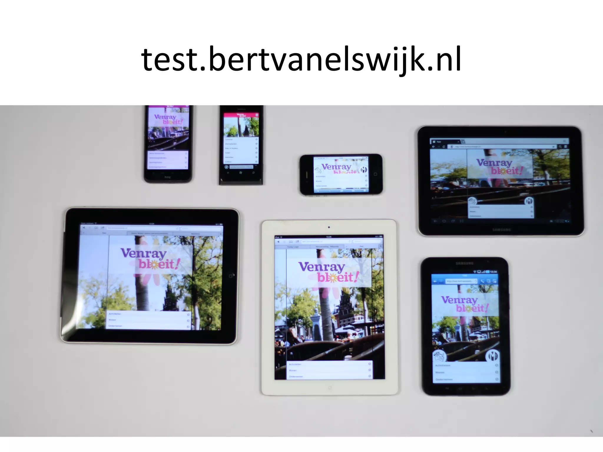 test.bertvanelswijk.nl	
  
 