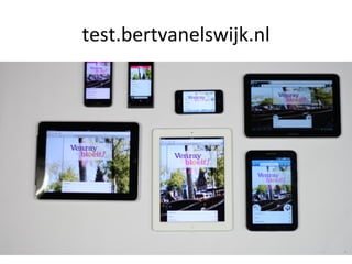test.bertvanelswijk.nl	
  
 