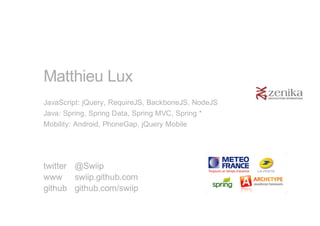 Matthieu Lux
JavaScript: jQuery, RequireJS, BackboneJS, NodeJS
Java: Spring, Spring Data, Spring MVC, Spring *
Mobility: Android, PhoneGap, jQuery Mobile




twitter @Swiip
www swiip.github.com
github github.com/swiip
 