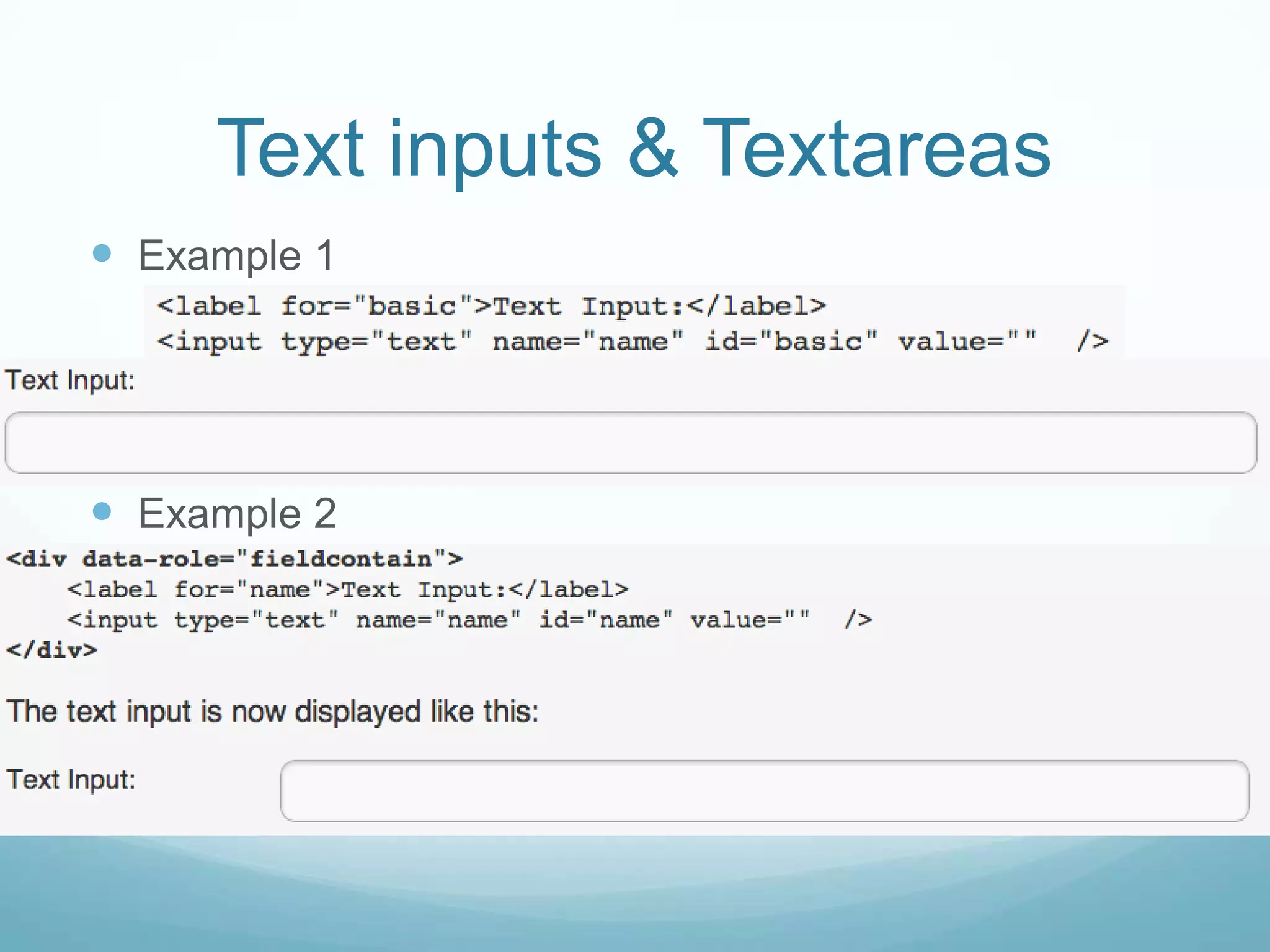 Text inputs & Textareas
 Example 1




 Example 2
 