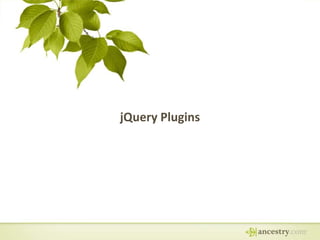 jQuery Plugins