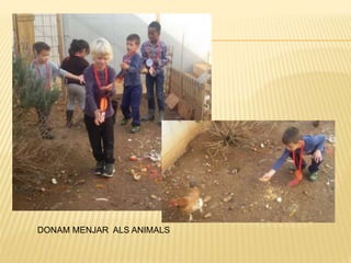 DONAM MENJAR ALS ANIMALS
 