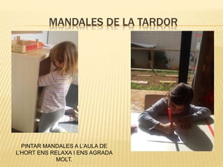 MANDALES DE LA TARDOR
PINTAR MANDALES A L’AULA DE
L’HORT ENS RELAXA I ENS AGRADA
MOLT.
 