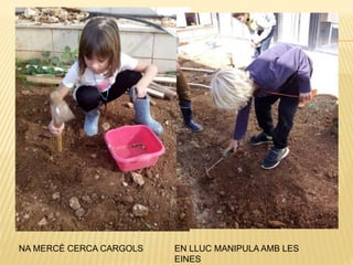 NA MERCÈ CERCA CARGOLS EN LLUC MANIPULA AMB LES
EINES
 