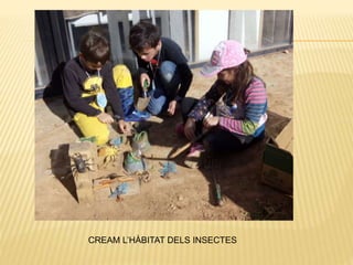 CREAM L’HÀBITAT DELS INSECTES
 