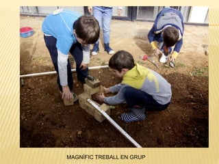 MAGNÍFIC TREBALL EN GRUP
 