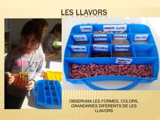 LES LLAVORS
OBSERVAM LES FORMES, COLORS,
GRANDÀRIES DIFERENTS DE LES
LLAVORS
 