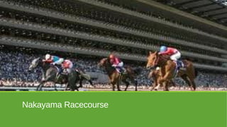 Nakayama Racecourse

 