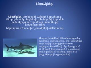 Շնաձկներ
Շնաձկներ, կռճիկային ձկների ենթակարգ։
Բնորոշ հատկանիշներից են մարմնի ձևը, մեծ
քանակությամբ սրածայր ատամների
առկայությունը։
Ներկայումս հայտնի է շնաձկների 450 տեսակ։
Չնայած շնաձկների մեծամասնությունը
բնակվում է աղի ջրերում, որոշ տեսակներ
հարմարվել են քաղցրահսմ ջրում
ապրելուն։ Շնաձկների մեջ գերակշռում
են գիշատիչները, սակայն 3 տեսակ, այդ
թվում կետային շնաձուկը, սնվում են
փոքր ձկներով և պլանկտոնով:
 