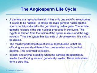 © Copyright PCNM 2011
The Angiosperm Life Cycle
• A gamete is a reproductive cell. It has only one set of chromosomes.
It is said to be haploid. In plants the male gametic nuclei are the
sperm nuclei produced in the germinating pollen grain. The female
gametic nucleus is the egg nucleus produced in the ovule. The
zygote is formed from the fusion of the sperm nucleus and the egg
nucleus. Thus the zygote has two sets of chromosomes. It is said to
be diploid.
• The most important feature of sexual reproduction is that the
offspring are usually different from one another and from their
parents. This is termed variability.
• In plant and animal breeding when the parents are genetically
similar the offspring are also genetically similar. These individuals
form a pure line.
 