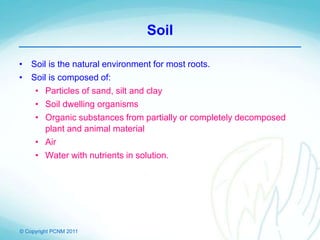 © Copyright PCNM 2011
Soil
• Soil is the natural environment for most roots.
• Soil is composed of:
• Particles of sand, silt and clay
• Soil dwelling organisms
• Organic substances from partially or completely decomposed
plant and animal material
• Air
• Water with nutrients in solution.
 