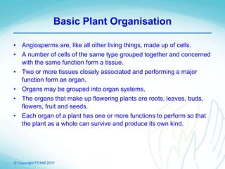 © Copyright PCNM 2011
Basic Plant Organisation
• Angiosperms are, like all other living things, made up of cells.
• A number of cells of the same type grouped together and concerned
with the same function form a tissue.
• Two or more tissues closely associated and performing a major
function form an organ.
• Organs may be grouped into organ systems.
• The organs that make up flowering plants are roots, leaves, buds,
flowers, fruit and seeds.
• Each organ of a plant has one or more functions to perform so that
the plant as a whole can survive and produce its own kind.
 