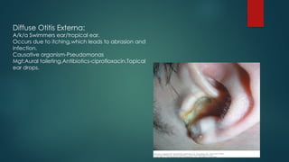 Jembyology &anatmoy of inner ear physiology | PPTX