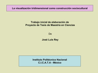 La visualización tridimensional como construcción sociocultural Trabajo inicial de elaboración de  Proyecto de Tesis de Maestría en Ciencias De José Luis Rey Instituto Politécnico Nacional C.I.C.A.T.A - México 