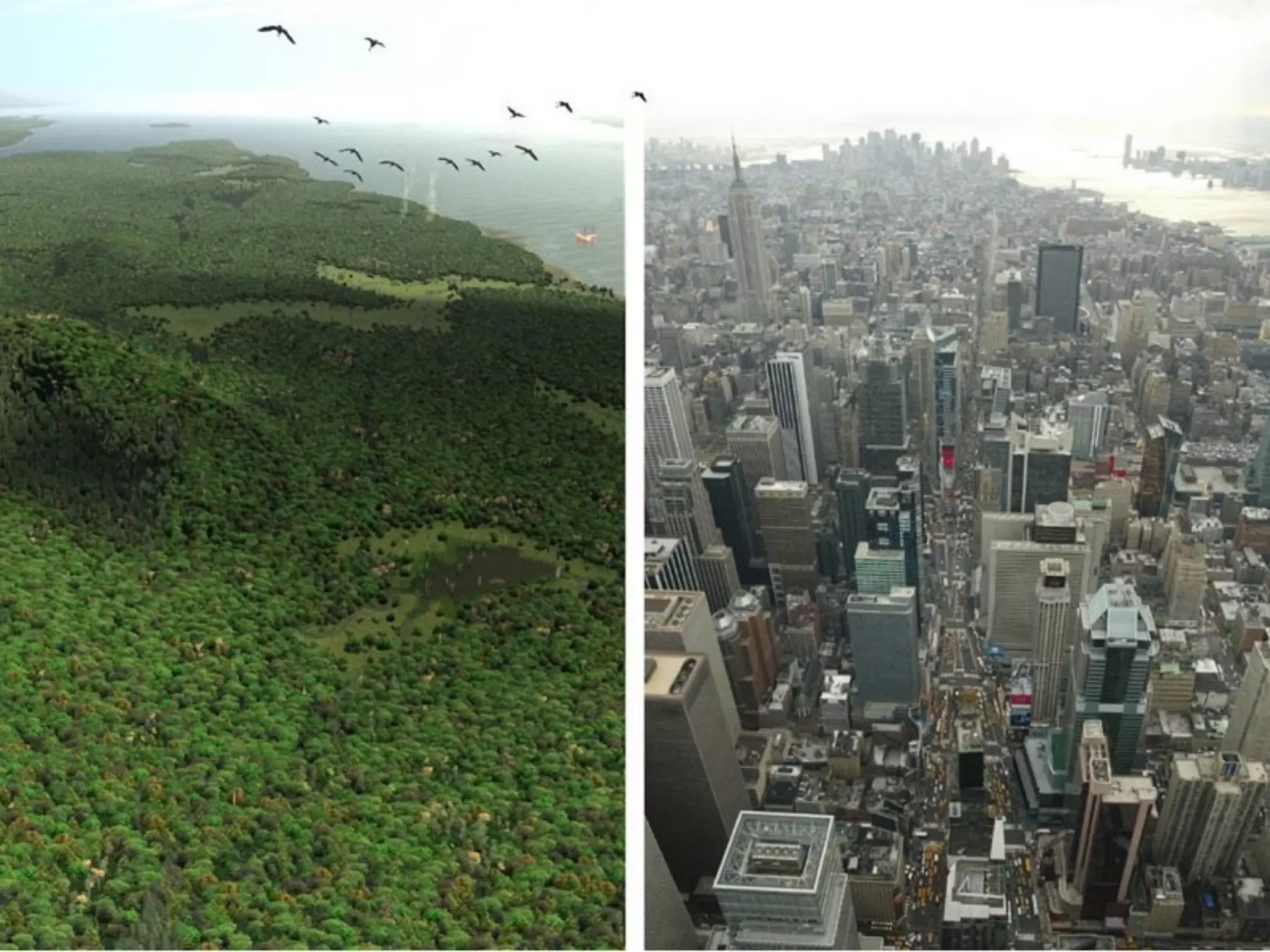 Jrn203 How to spot Info Presentation