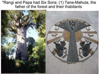 "Rangi and Papa had Six Sons: (1) Tane-Mahuta, the father of the forest and their ihabitants  