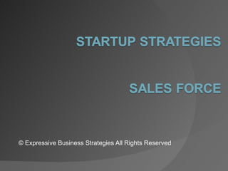 © Expressive Business Strategies All Rights Reserved 