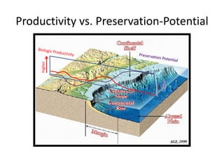 Productivity vs. Preservation-Potential 
higher 
 