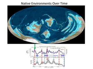 Native Environments Over Time 
 