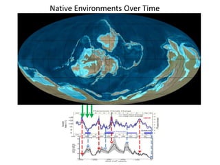 Native Environments Over Time 
 