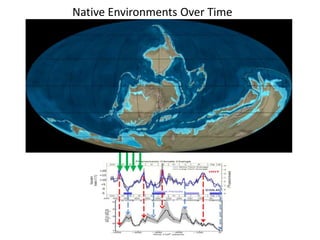 Native Environments Over Time 
 