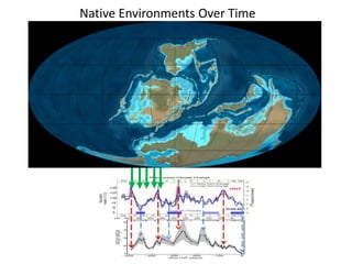 Native Environments Over Time 
 