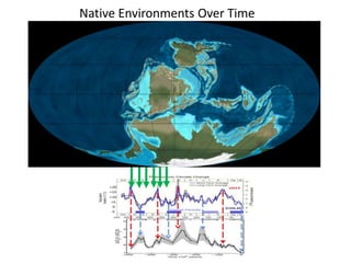 Native Environments Over Time 
 