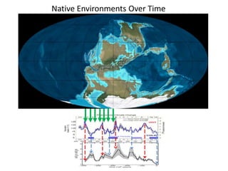 Native Environments Over Time 
 