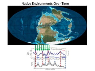 Native Environments Over Time 
 
