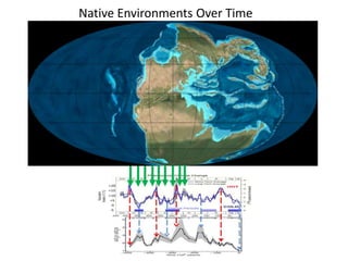 Native Environments Over Time 
 