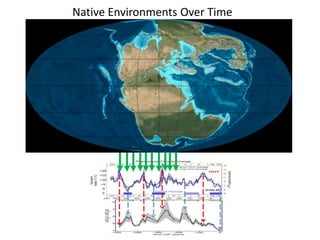Native Environments Over Time 
 