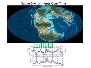 Native Environments Over Time 
 