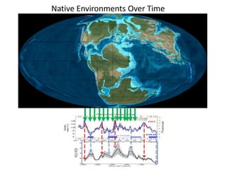 Native Environments Over Time 
 