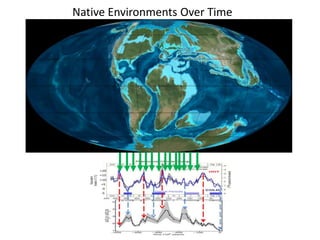Native Environments Over Time 
 