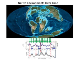 Native Environments Over Time 
 