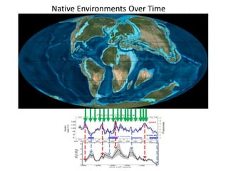 Native Environments Over Time 
 
