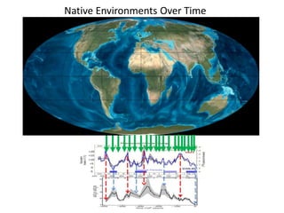 Native Environments Over Time 
 