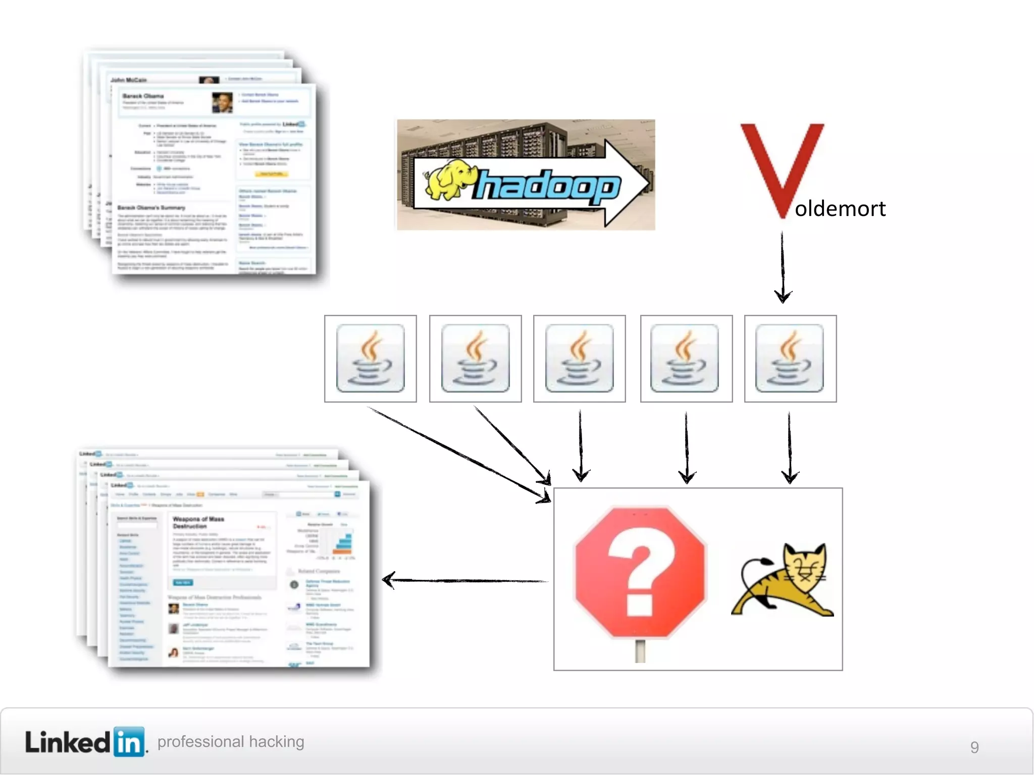 oldemort




professional hacking              9
 