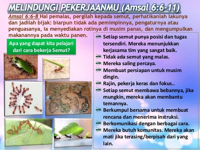 Pelajaran Sekolah SABAT ke-2 Triwulan I 2015 (bahasa 