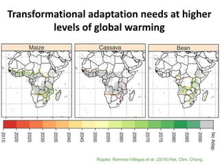 Evidence- and risk-based planning for a climate-smart agriculture