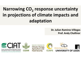 Narrowing CO2 response uncertainty
in projections of climate impacts and
adaptation
Dr. Julian Ramirez-Villegas
Prof. Andy Challinor
 