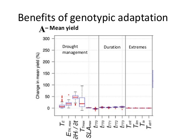 Adaptation dissertation strategic