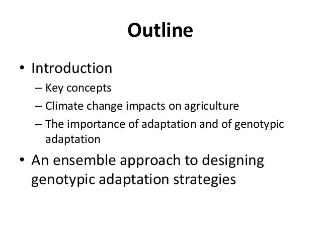 Adaptation dissertation strategic